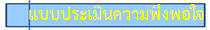 แบบประเมินความพึงพอใจ
